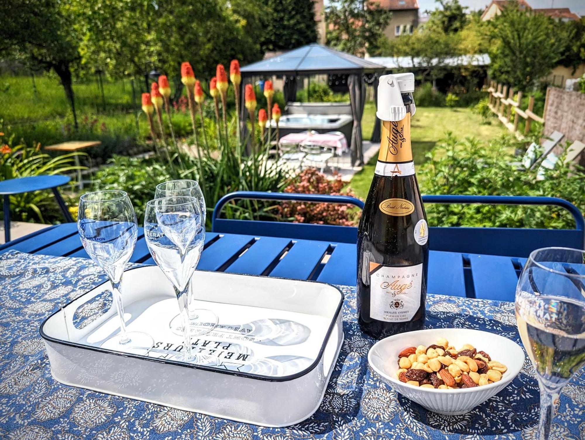 Le Cemarose: Spa, Jardin, Terrasse Et Jolie Vue Au Coeur D'Épernay Kültér fotó